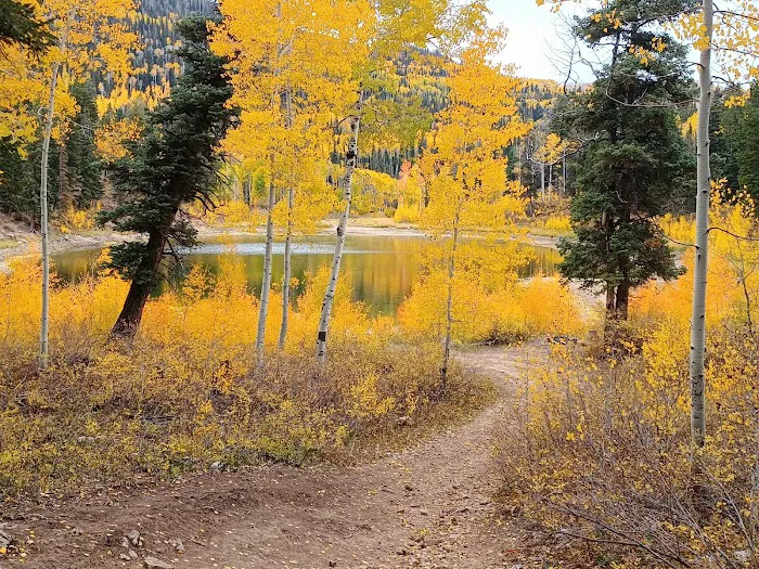New Canyon Reservoir 1