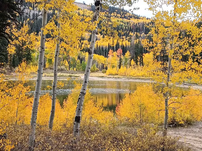 New Canyon Reservoir 5