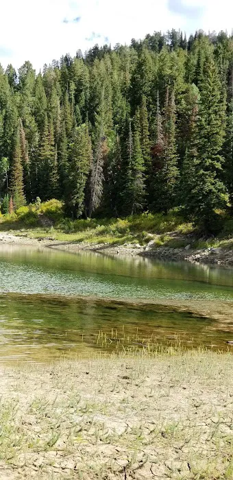 New Canyon Reservoir 8