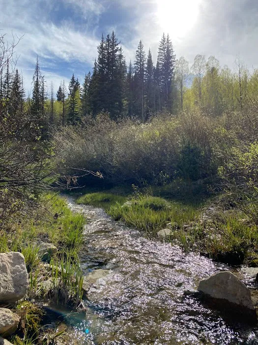 Indian Creek Campground 3