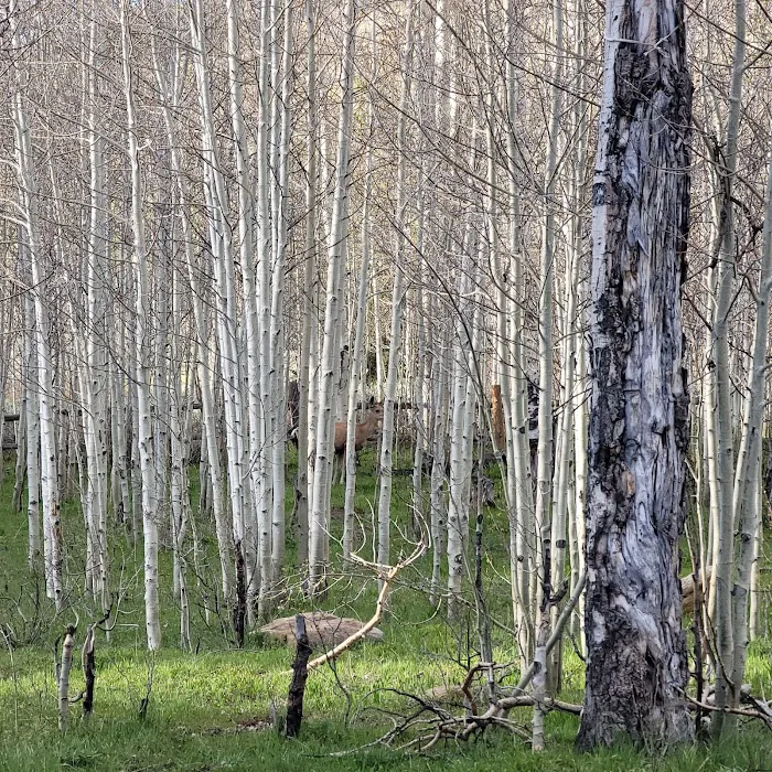 Indian Creek Campground 4