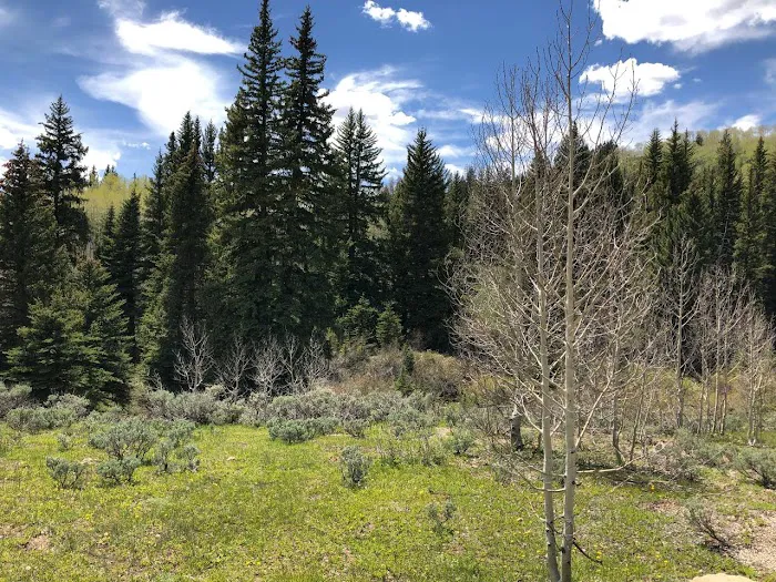 Indian Creek Campground 5