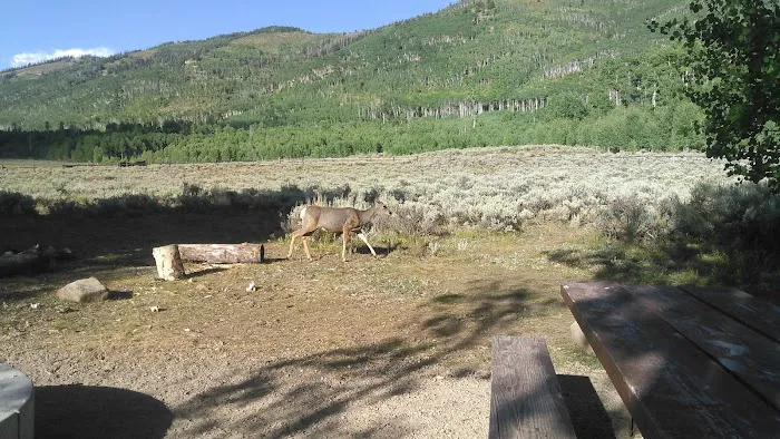Indian Creek Campground 6