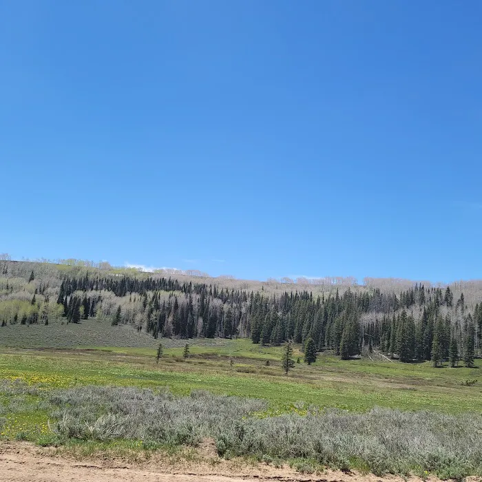 Indian Creek Campground 8