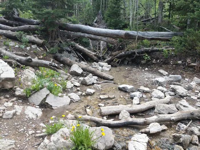 Willow Lake Campground 3