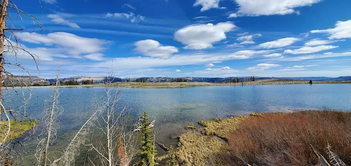 Willow Lake Campground 7