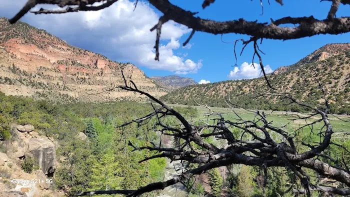 Bear Creek Campground 5