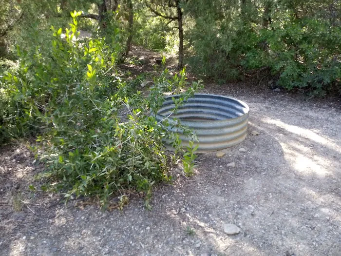 Bear Creek Campground 4