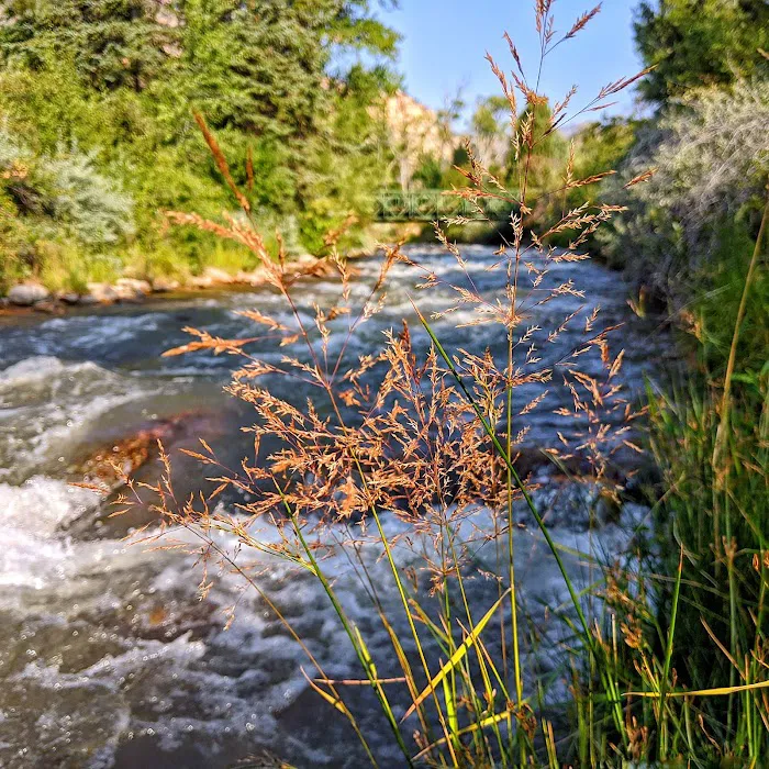 Bear Creek Campground 7