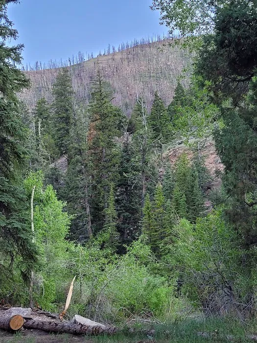 Little Bear Group Campground 1