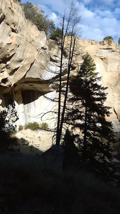 Little Bear Group Campground 4