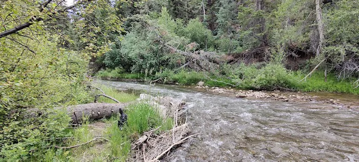 Little Bear Group Campground 8