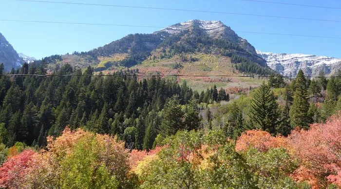 Little Bear Group Campground 6
