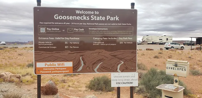 Goosenecks Campground 5