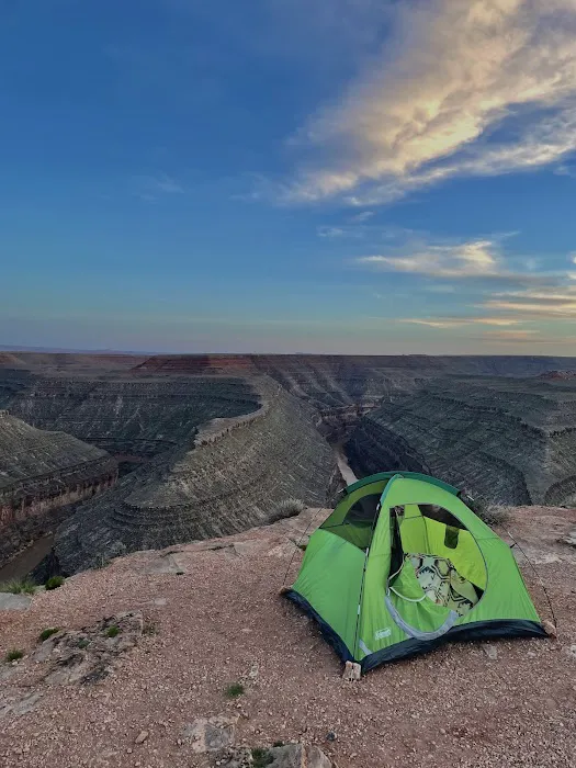 Goosenecks Campground 9