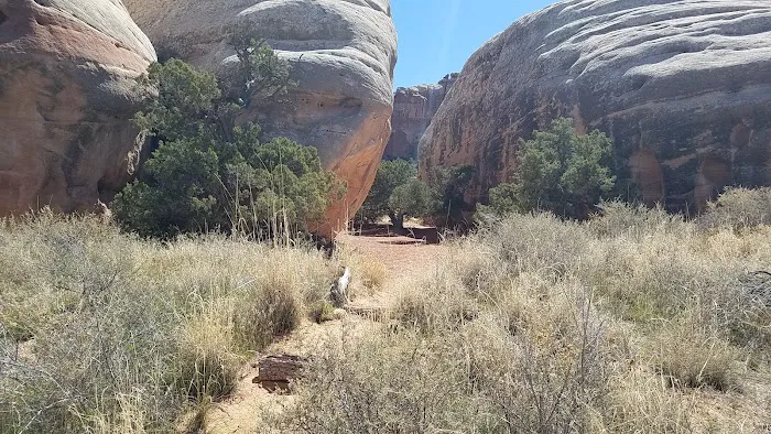EC1 Campground 5