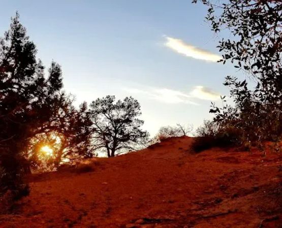 CP1 Campground