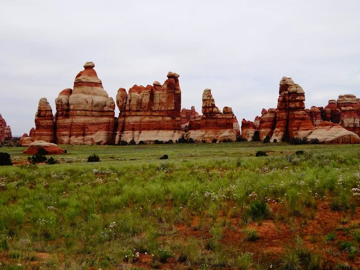 CP4 Campground 2
