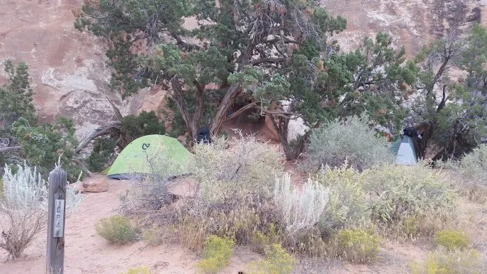 CP4 Campground 7