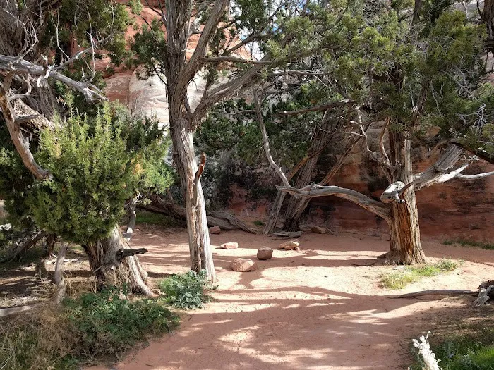 CP3 Campground 3