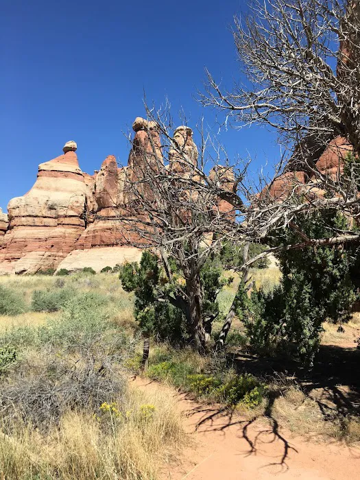 CP3 Campground 7