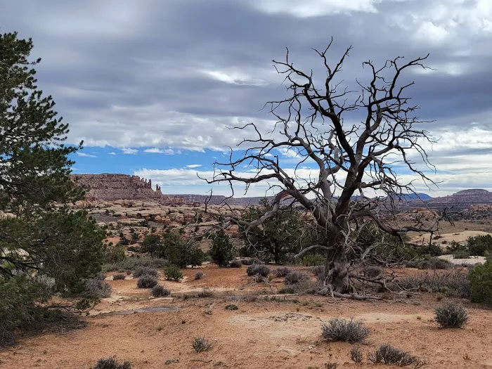Horsehoof Campground 0