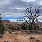 Horsehoof Campground