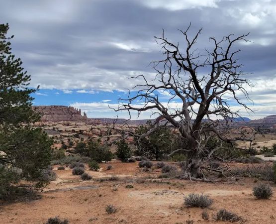 Horsehoof Campground