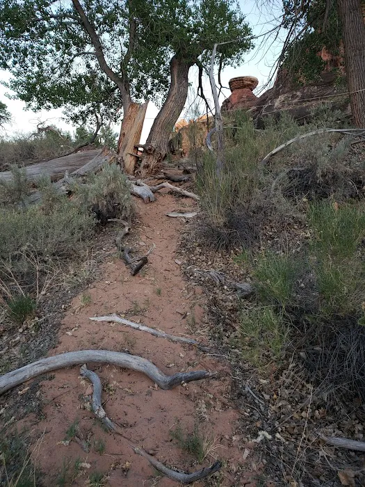 Peekaboo Campground 5