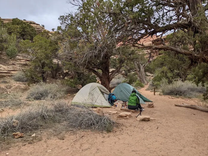 LC3 Campground 1