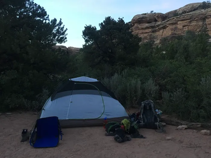 WS2 Campground 2