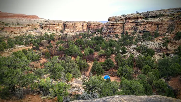 WS2 Campground 0