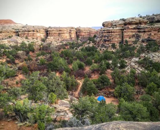 WS2 Campground