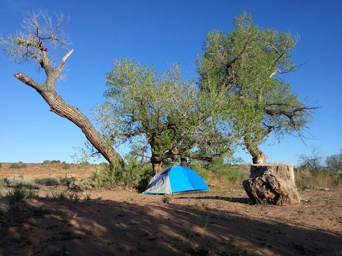 Creek Pasture Campground 7