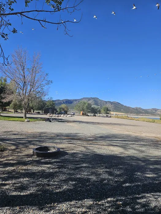 Minersville Campground 4