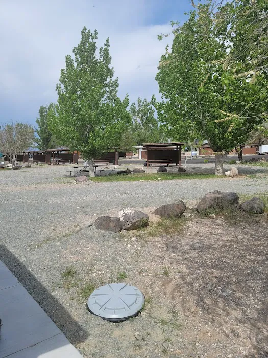 Minersville Campground 7