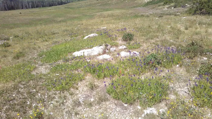 Ferron Reservoir Campground 8