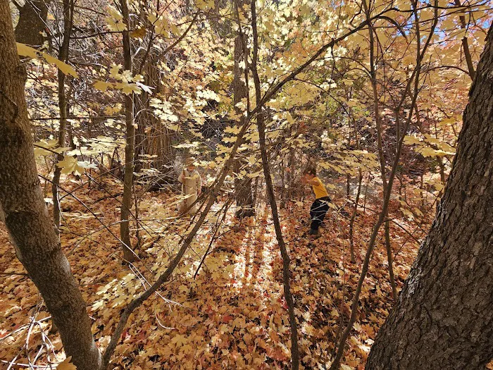 Oak Creek Campground 3