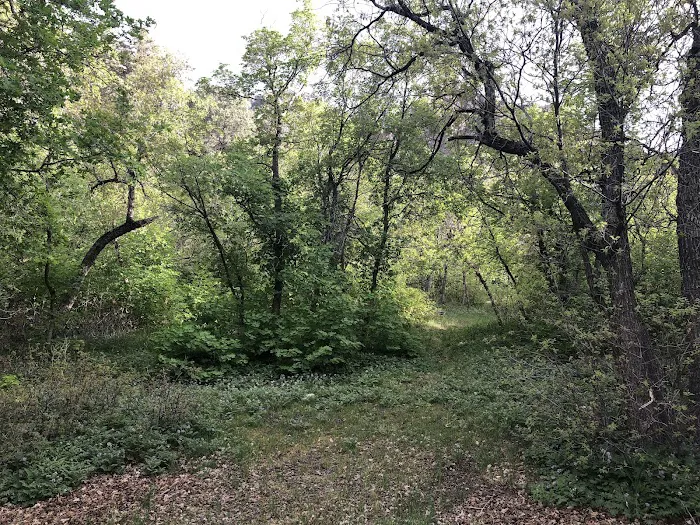 Oak Creek Campground 6