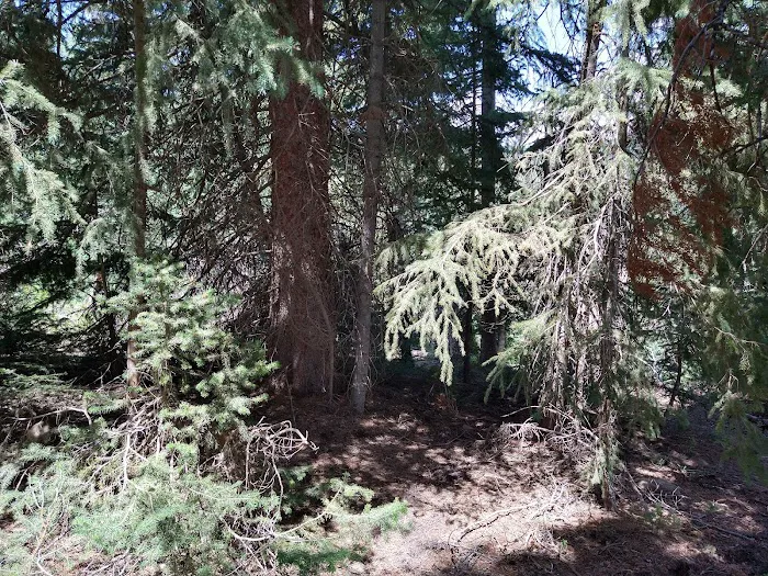 Cleveland Reservoir Campground 2
