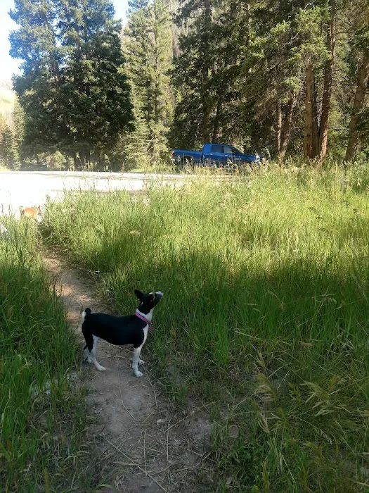 Forks of Huntington Campground 2