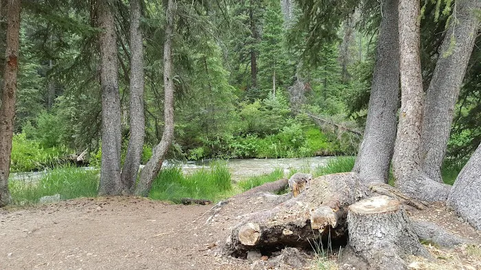 Forks of Huntington Campground 8