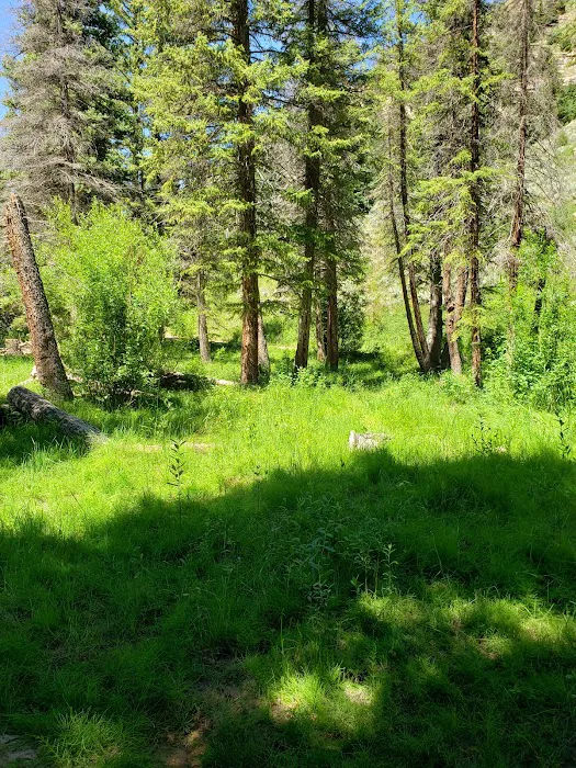 Forks of Huntington Campground 7