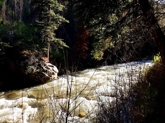 Forks of Huntington Campground 6