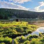 Mia Shalom Recreation Camp