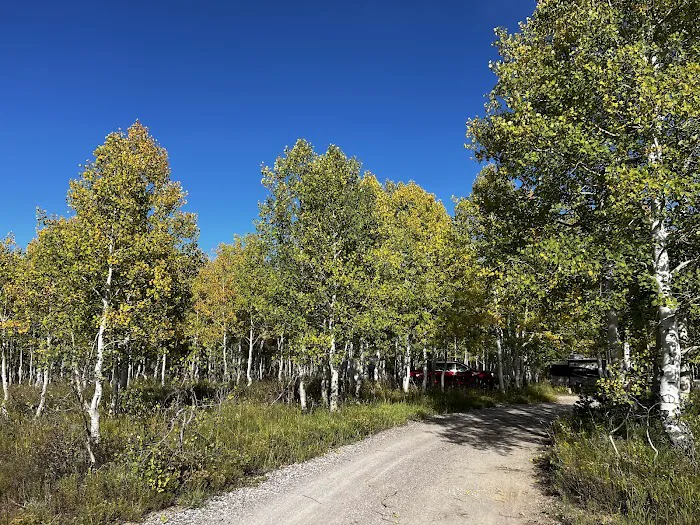 Gooseberry Campground 2