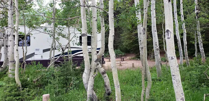 Gooseberry Campground 5