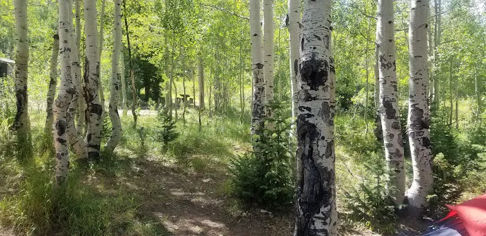Gooseberry Campground 7