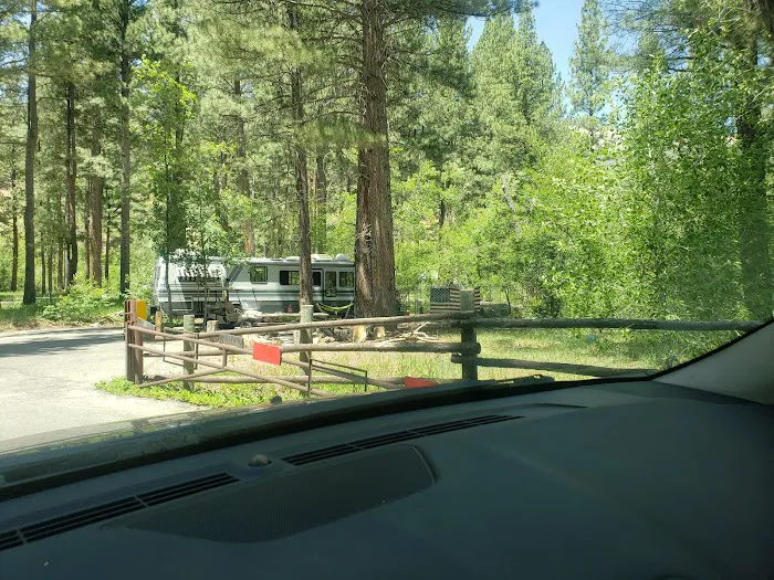 Ponderosa Campground 0