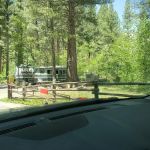 Ponderosa Campground